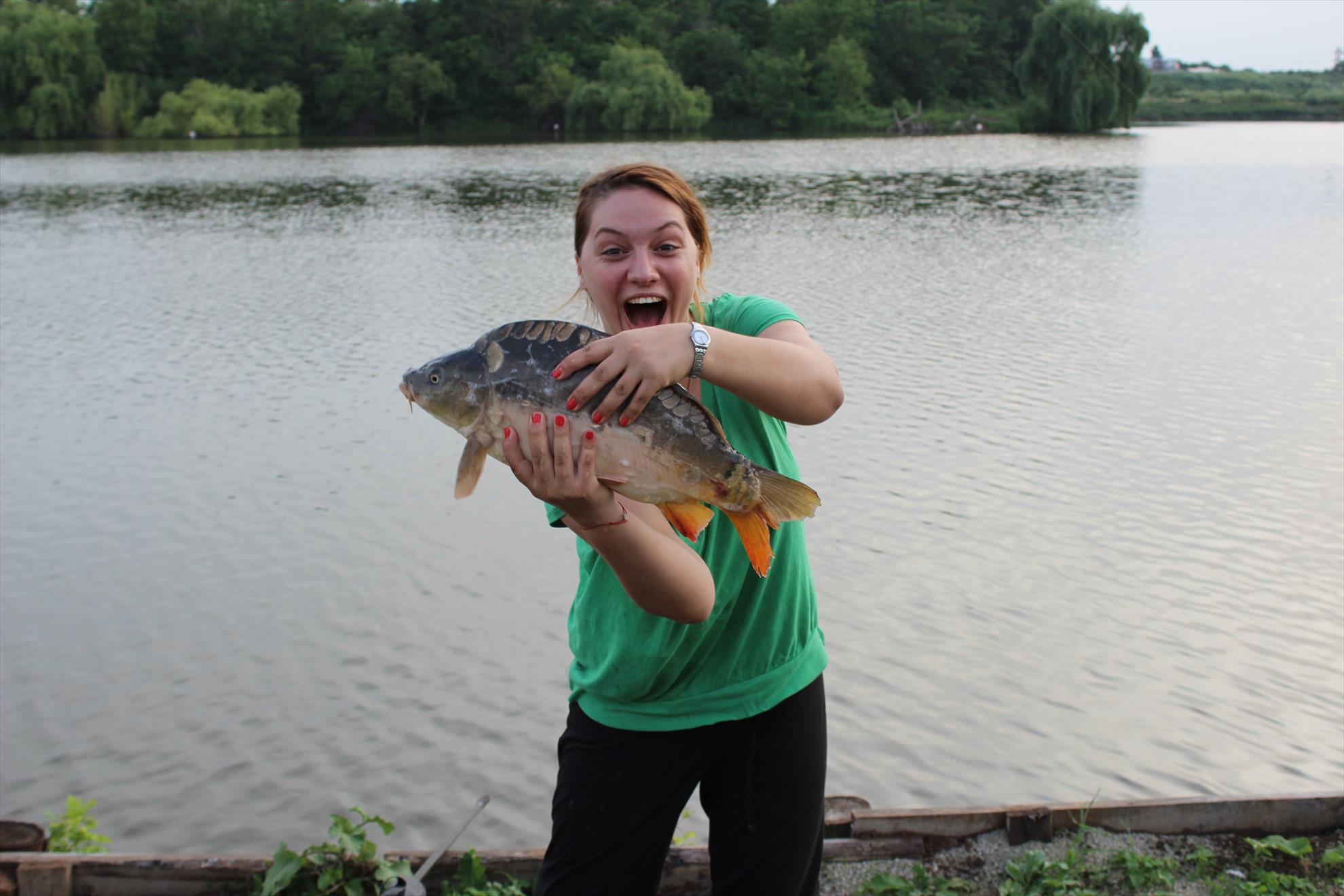 Hermes Peris 7 - 8 iunie 2014 - img7357.JPG